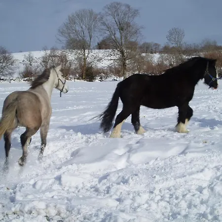 Domaine De La Chaux De Revel Country house *
